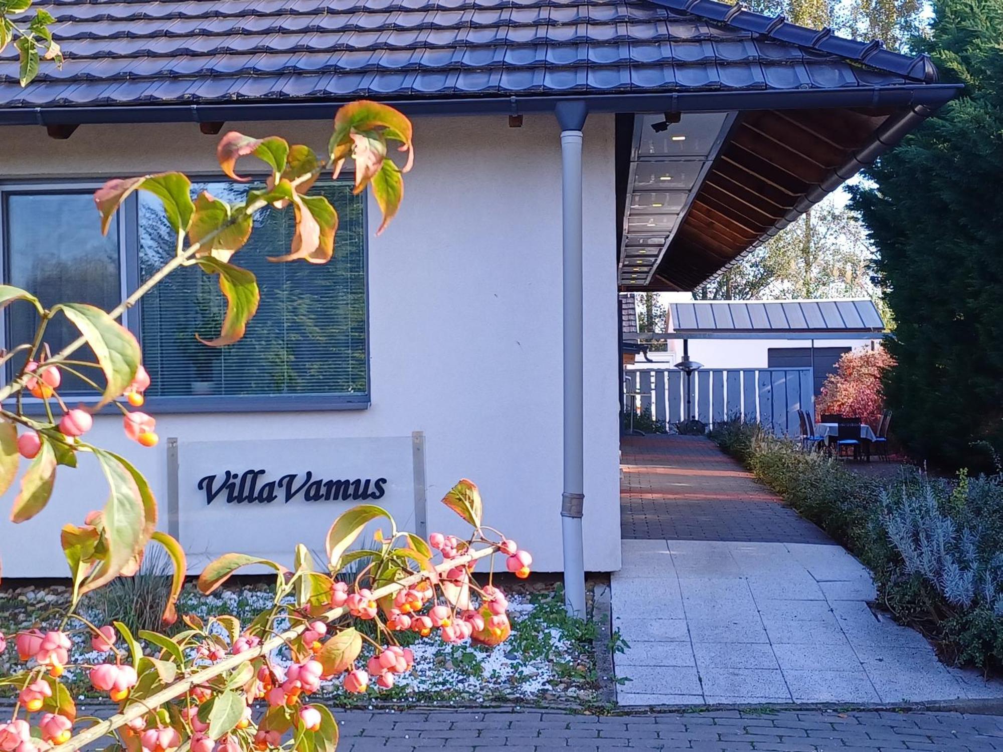 Villa Vamus Vendeg- Es Rendezvenyhaz Vámosszabadi 外观 照片